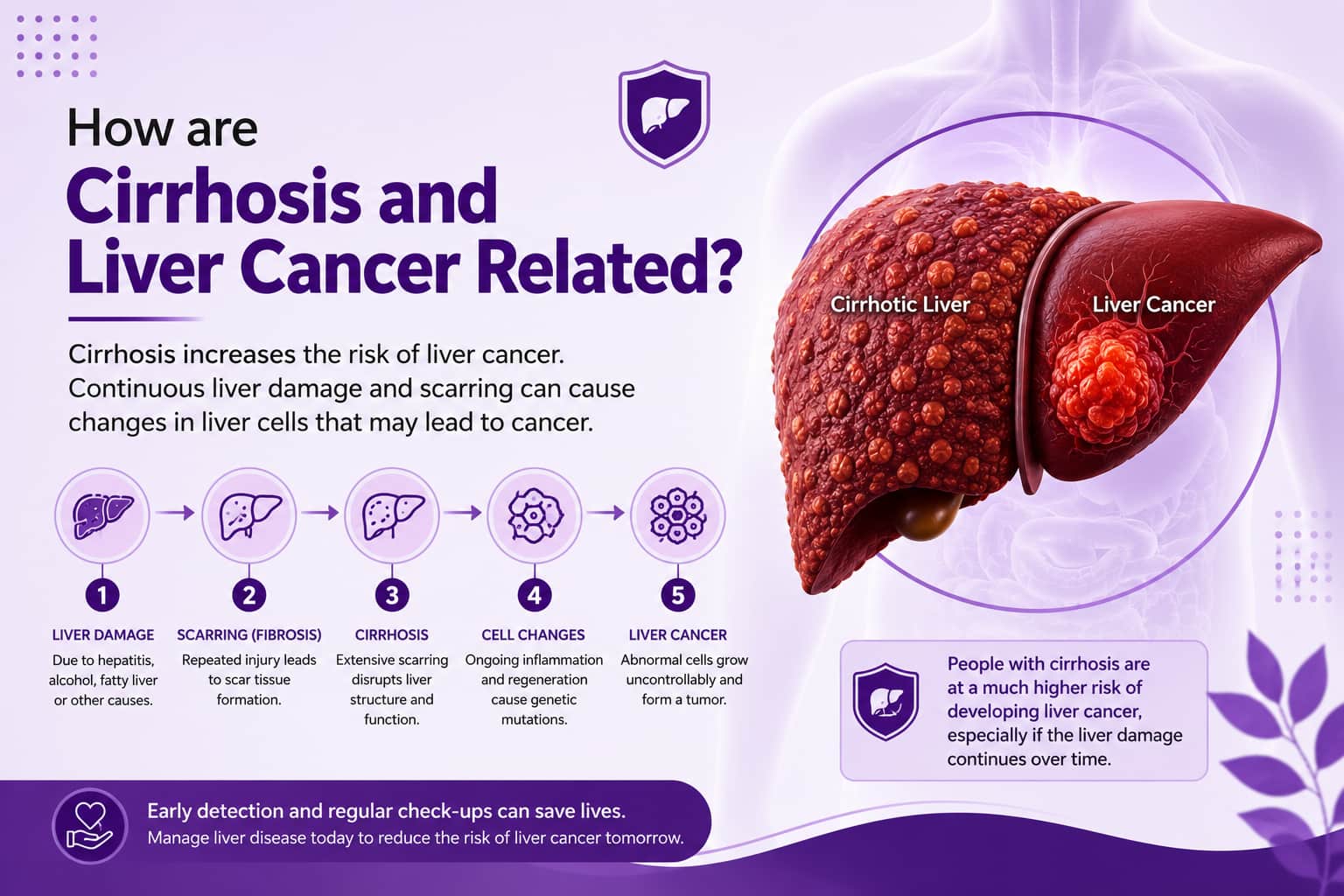 How are Cirrhosis