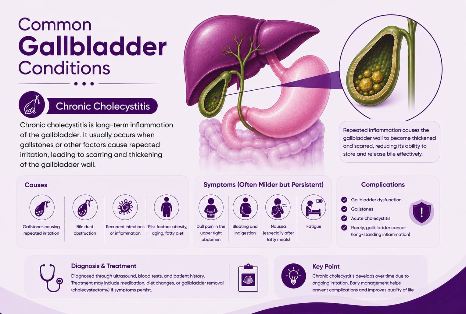Chronic Cholecystitis