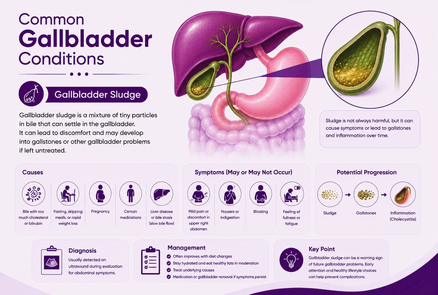 Gallbladder Sludge