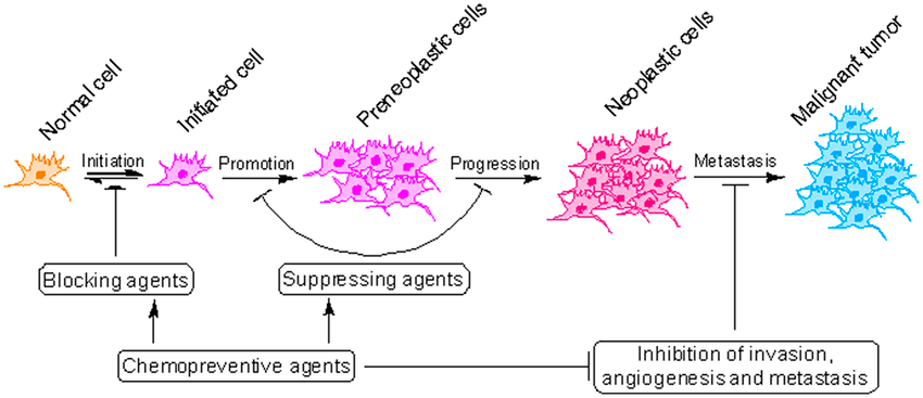 stages of cancer formation causes and symtoms